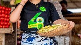 dollyrestie_1738605353259 (1)